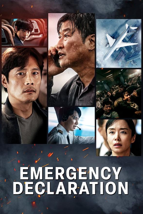 Poster image for EMERGENCY DECLARATION