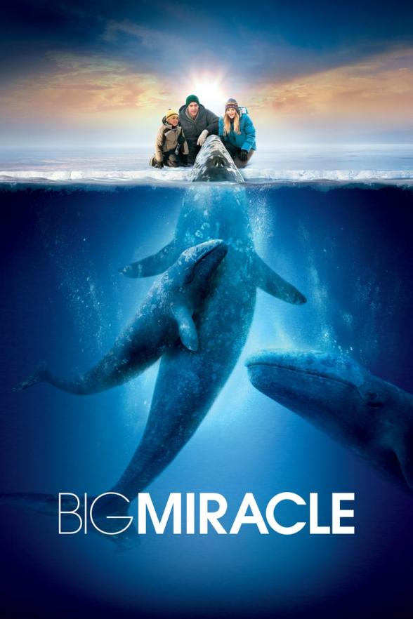 Poster image for BIG MIRACLE