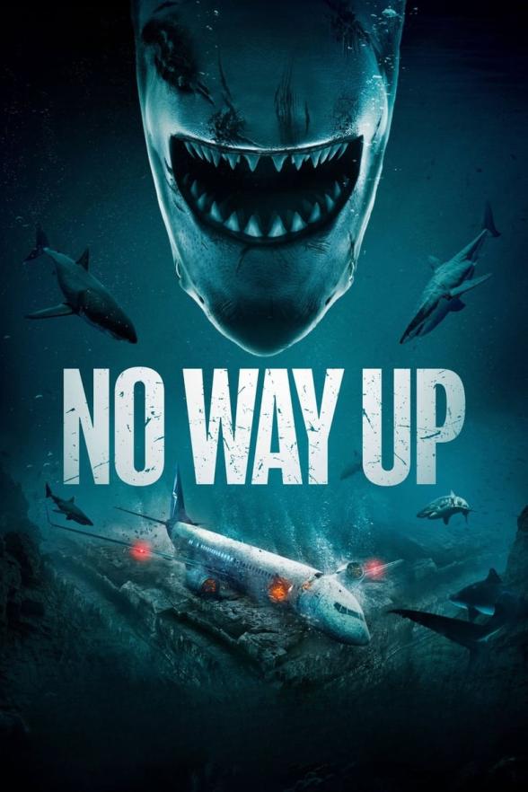 Poster image for No Way Up