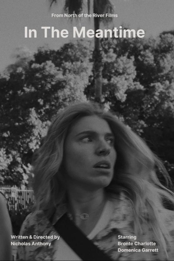 Poster image for In The Meantime