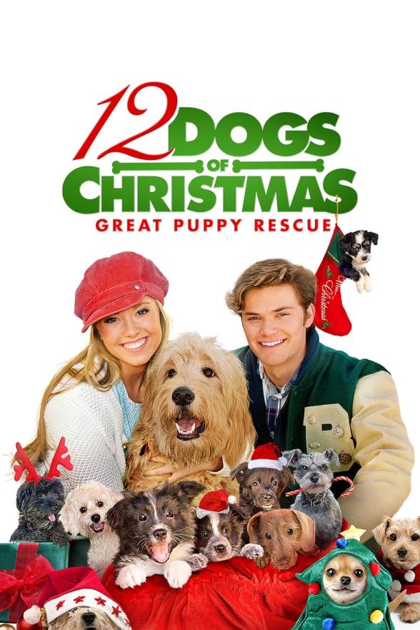 Poster image for 12 DOGS OF CHRISTMAS: GREAT PUPPY RESCUE