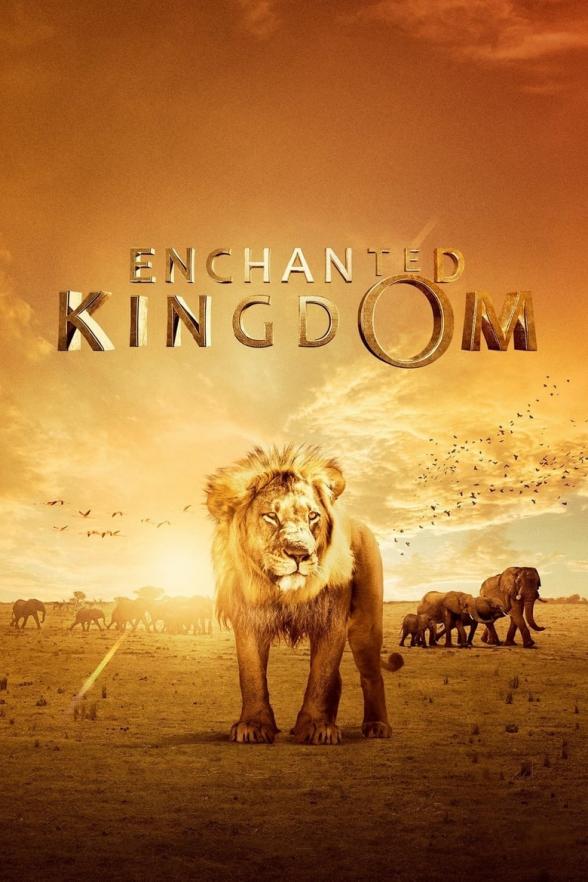 Poster image for ENCHANTED KINGDOM