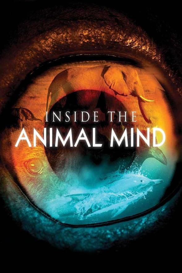 Poster image for INSIDE THE ANIMAL MIND