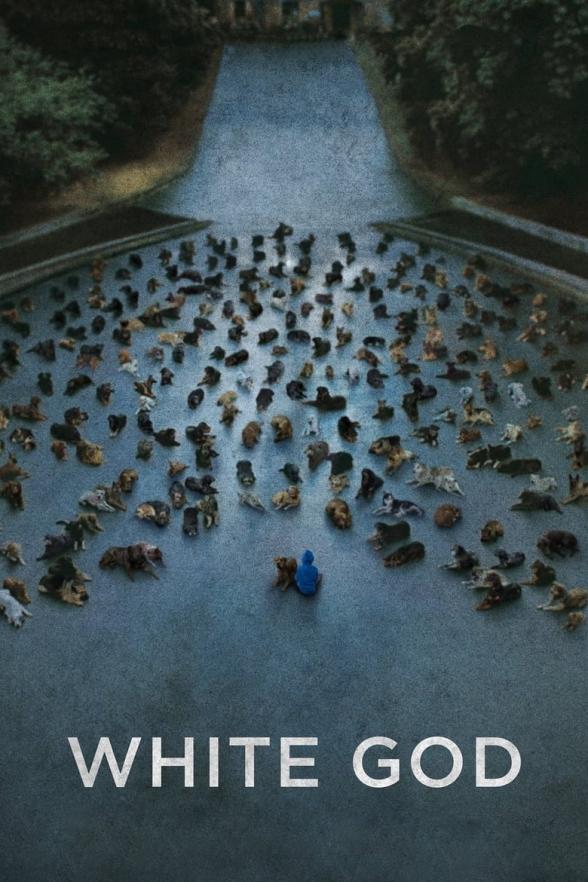 Poster image for WHITE GOD