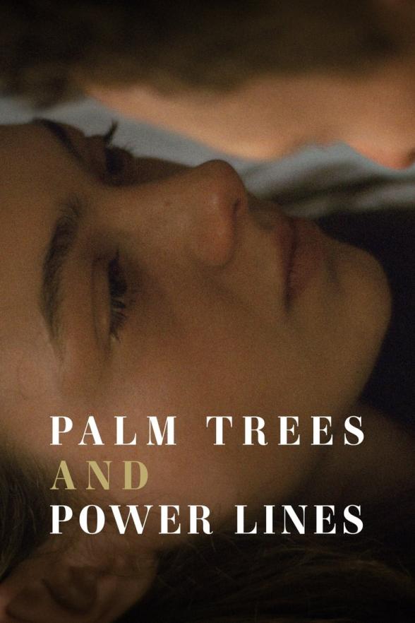 Poster image for Palm Trees and Power Lines