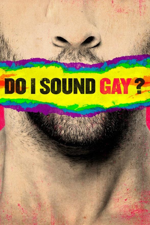 Poster image for DO I SOUND GAY?
