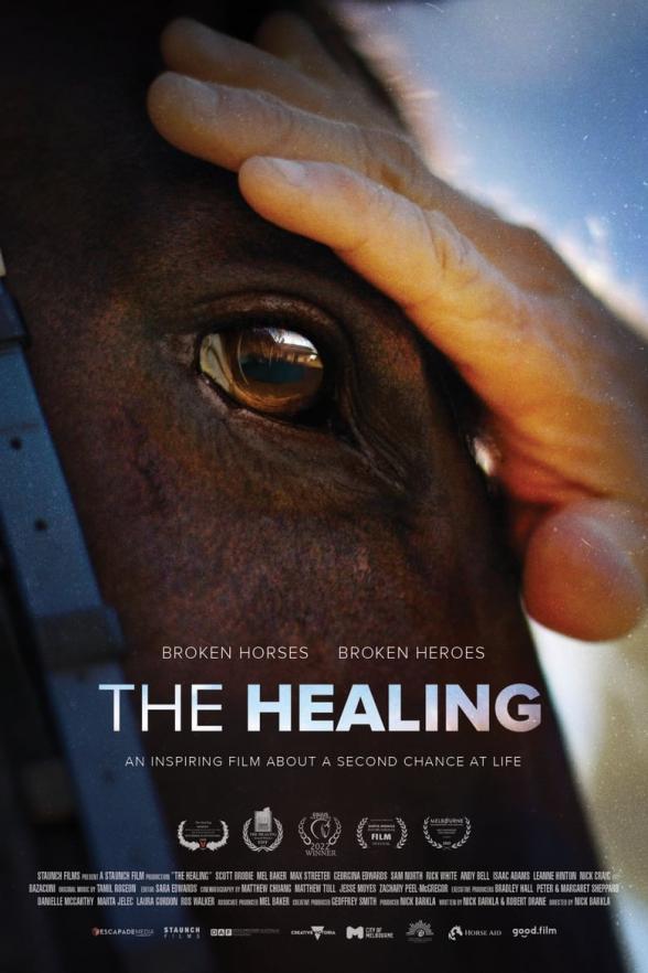 Poster image for The Healing
