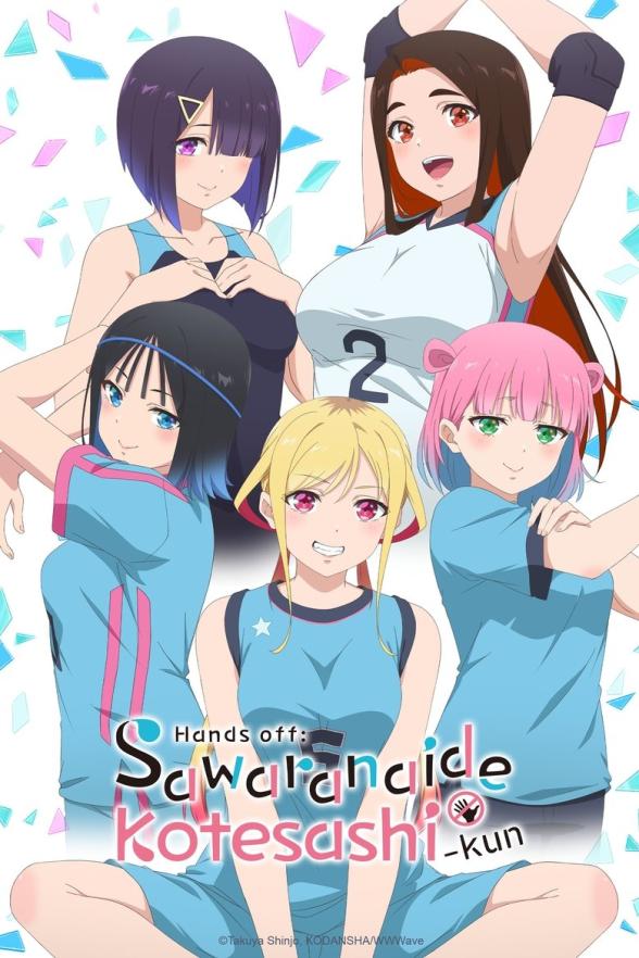 Poster image for Hands Off: Sawaranaide Kotesashi-kun