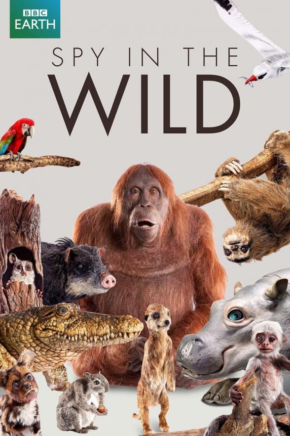 Poster image for SPY IN THE WILD