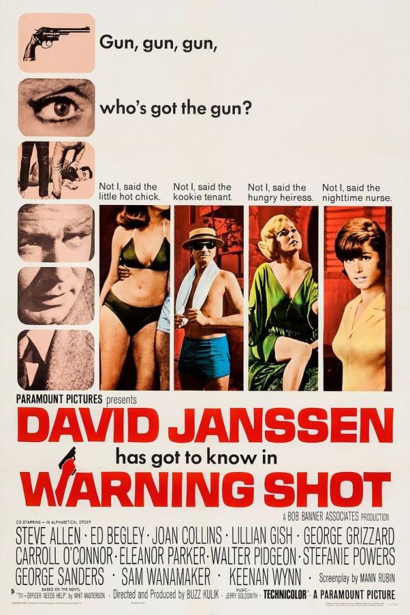 Poster image for WARNING SHOT