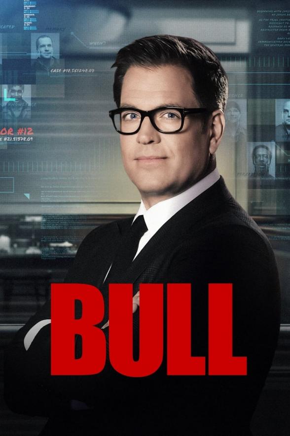 Poster image for BULL: SEASON 5