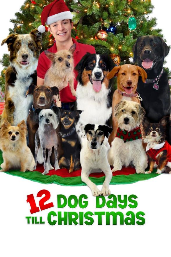 Poster image for 12 DOG DAYS TILL CHRISTMAS