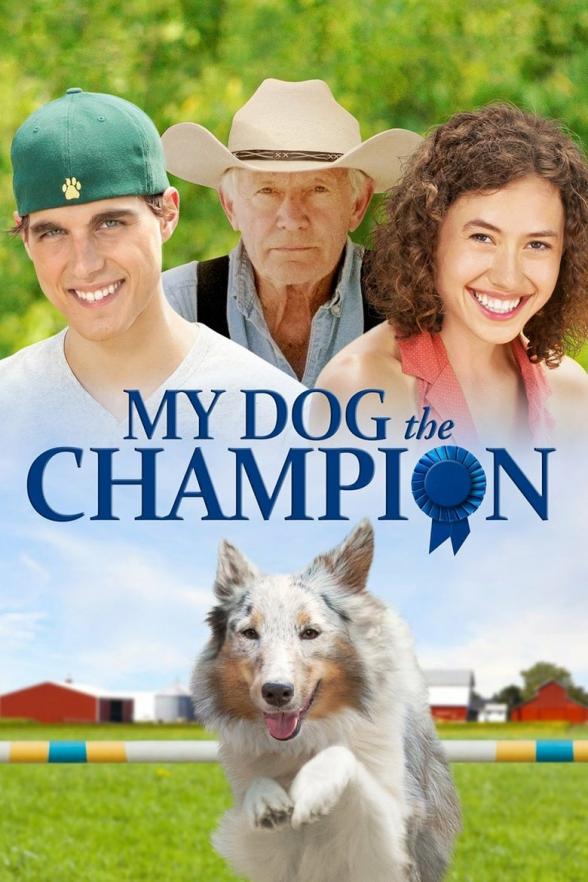 Poster image for CHAMPION