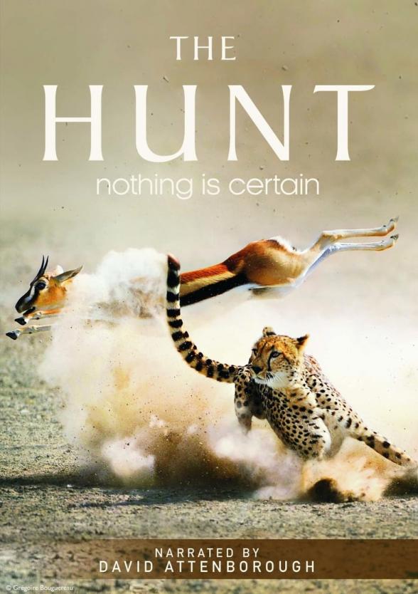 Poster image for THE HUNT