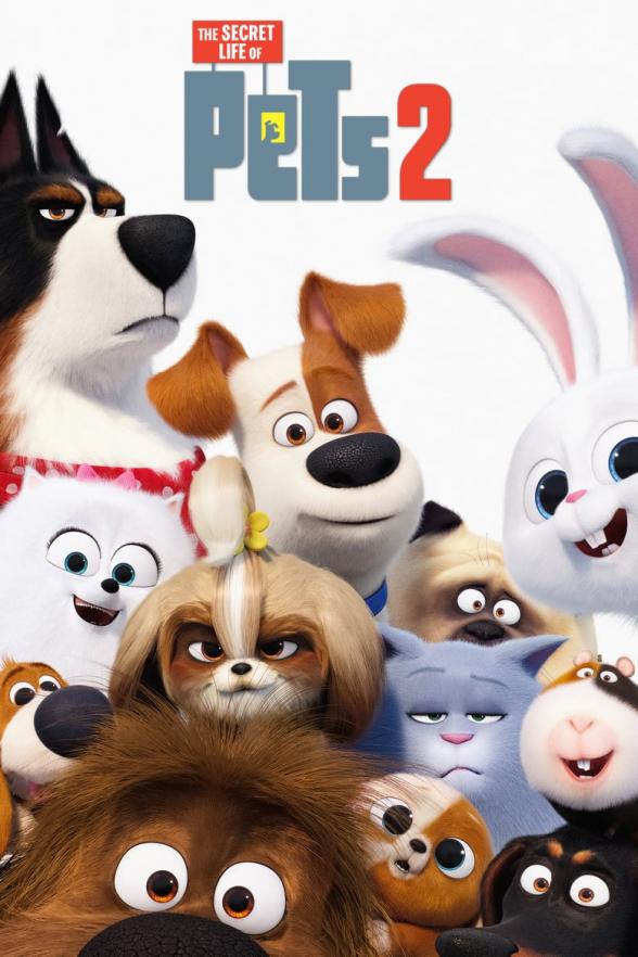 THE SECRET LIFE OF PETS 2 DVD Australian Classification