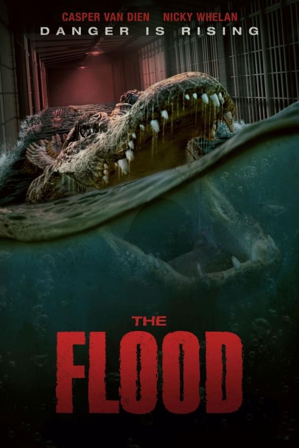 Poster image for The Flood