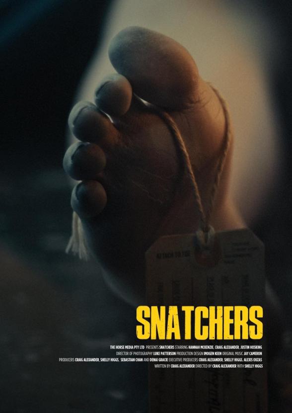 Poster image for Snatchers