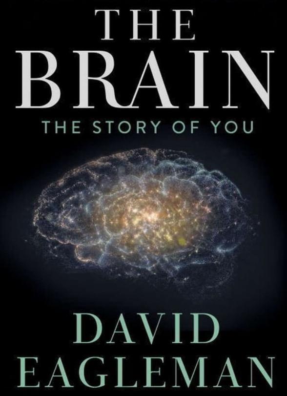 Poster image for THE BRAIN WITH DAVID EAGLEMAN