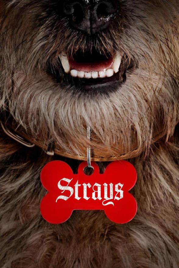 Poster image for Strays