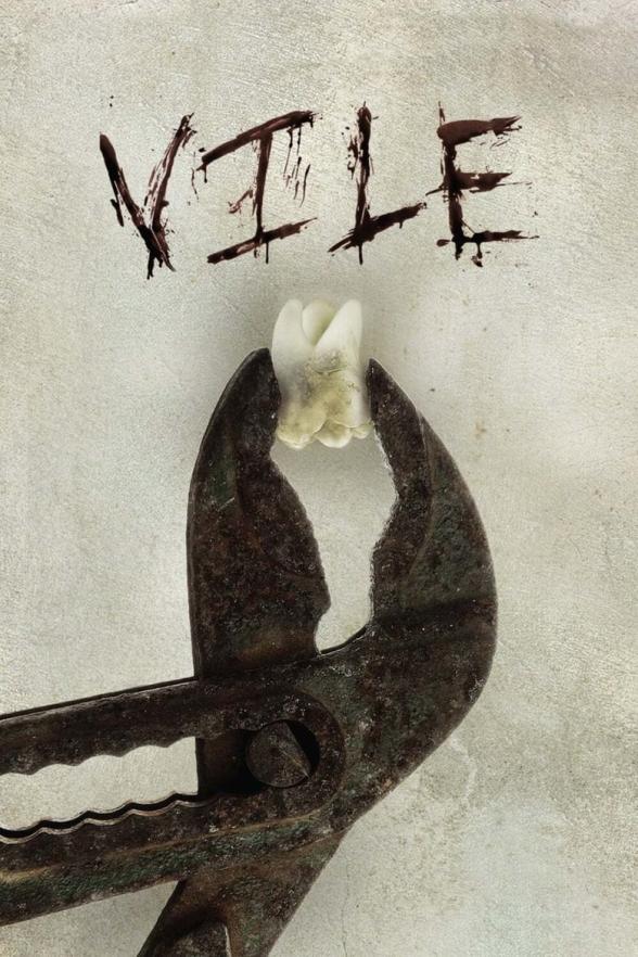 Poster image for VILE
