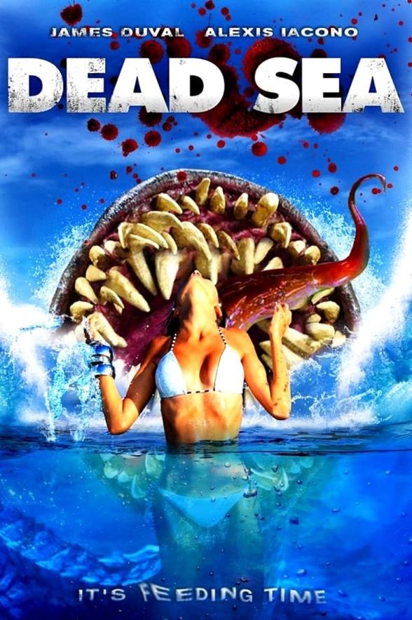 Poster image for DEAD SEA