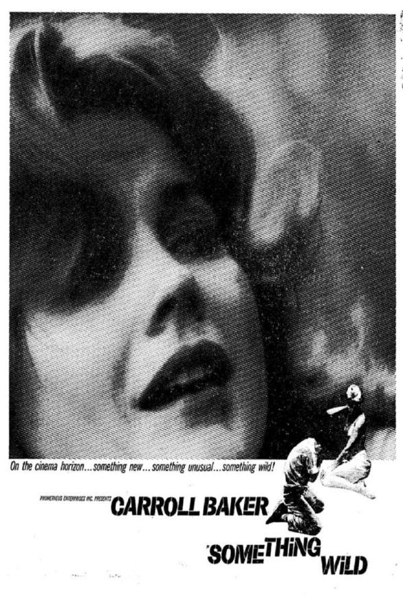 Poster image for Something Wild