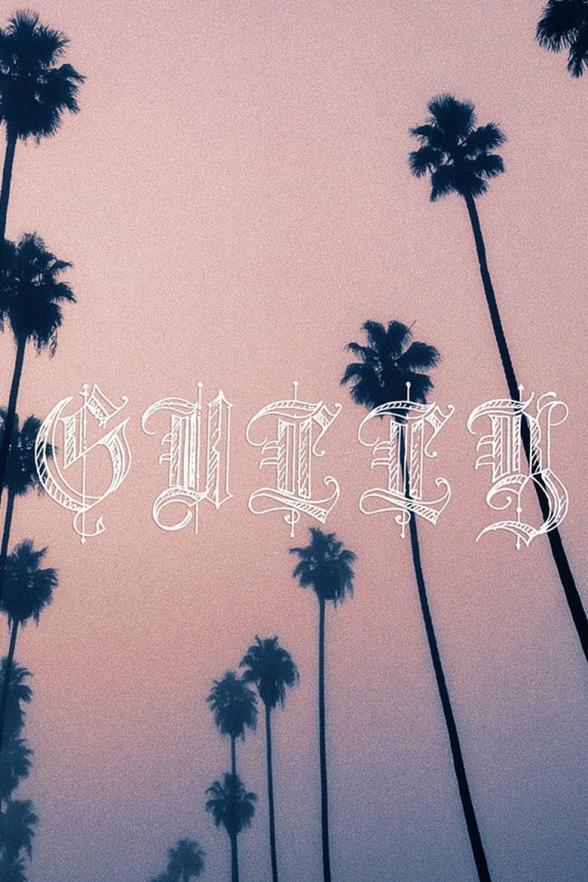 Poster image for GULLY