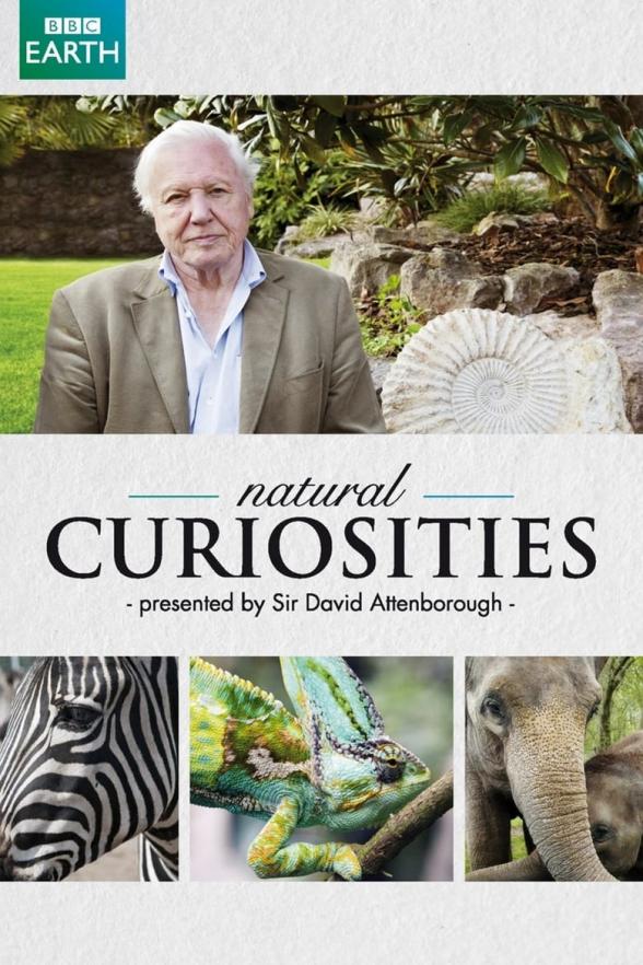Poster image for DAVID ATTENBOROUGH'S: NATURAL CURIOSITIES SERIES 3