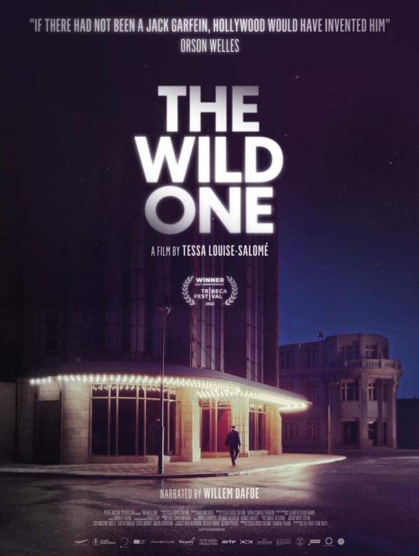 Poster image for The Wild One