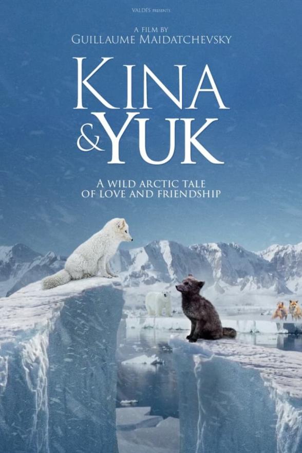 Poster image for Kina et Yuk: Renards de la Banquise