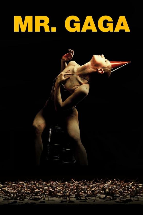 Poster image for MR. GAGA