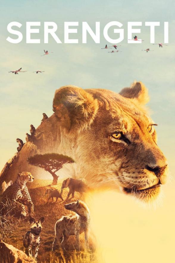 Poster image for SERENGETI