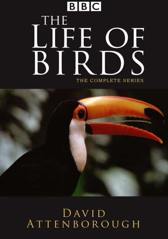 Poster image for THE LIFE OF BIRDS - THE MASTERY OF FLIGHT
