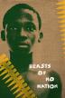 Poster image for BEASTS OF NO NATION