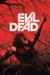 Poster image for EVIL DEAD