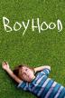 Poster image for BOYHOOD