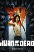Poster image for JUAN DE LA MUERTOS