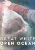 Poster image for Great White Open Ocean