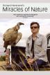Poster image for RICHARD HAMMOND'S MIRACLES OF NATURE