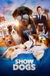 Poster image for SHOW DOGS