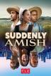 Poster image for Suddenly Amish Season 1 Eps 5-8