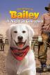 Poster image for ADVENTURES OF BAILEY: A NIGHT IN COWTOWN