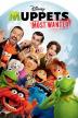 Poster image for MUPPETS: MOST WANTED