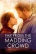 Poster image for FAR FROM THE MADDING CROWD