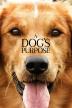 Poster image for A DOG'S PURPOSE