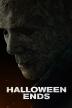 Poster image for HALLOWEEN ENDS