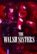 Poster image for The Welsh Sisters