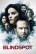 Poster image for BLINDSPOT - THE COMPLETE SECOND SEASON