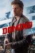 Poster image for DOMINO
