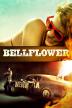 Poster image for BELLFLOWER